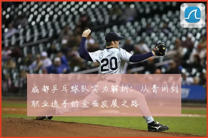 成都乒乓球队实力解析：从青训到职业选手的全面发展之路