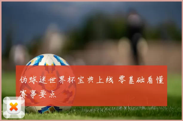 伪球迷世界杯宝典上线 零基础看懂赛事要点