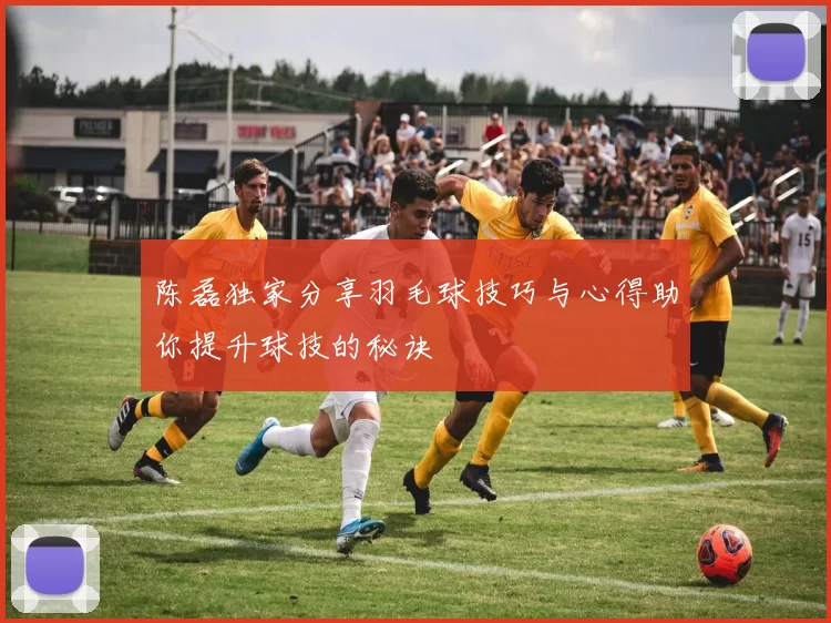 陈磊独家分享羽毛球技巧与心得助你提升球技的秘诀