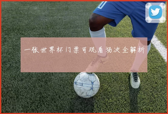 一张世界杯门票可观看场次全解析