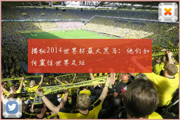揭秘2014世界杯最大黑马：他们如何震惊世界足坛