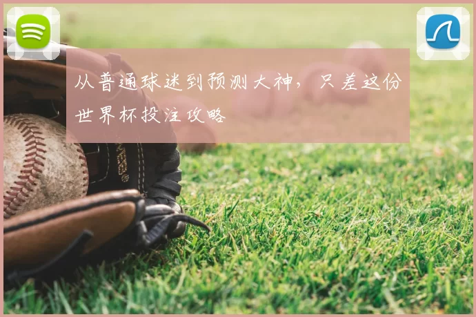 从普通球迷到预测大神，只差这份世界杯投注攻略