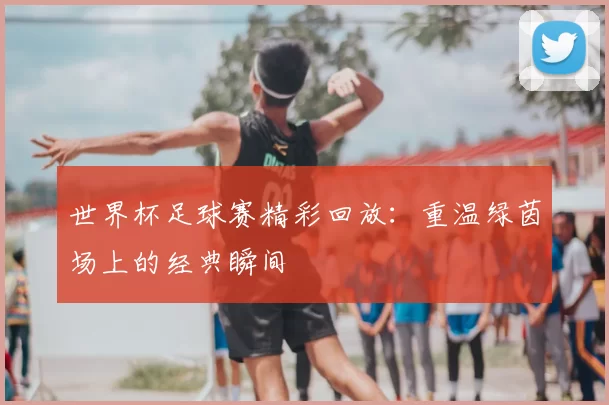 世界杯足球赛精彩回放：重温绿茵场上的经典瞬间