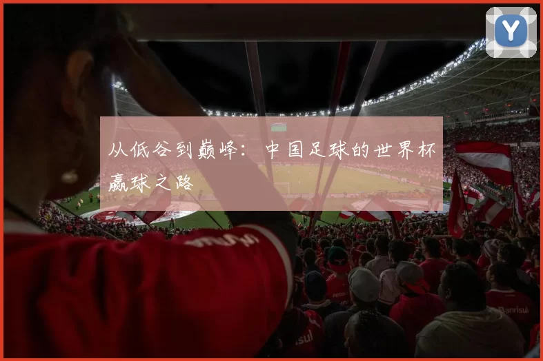 从低谷到巅峰:中国足球的世界杯赢球之路