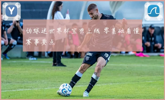 伪球迷世界杯宝典上线 零基础看懂赛事要点