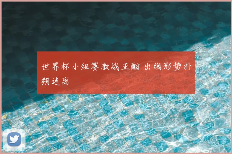 世界杯小组赛激战正酣 出线形势扑朔迷离