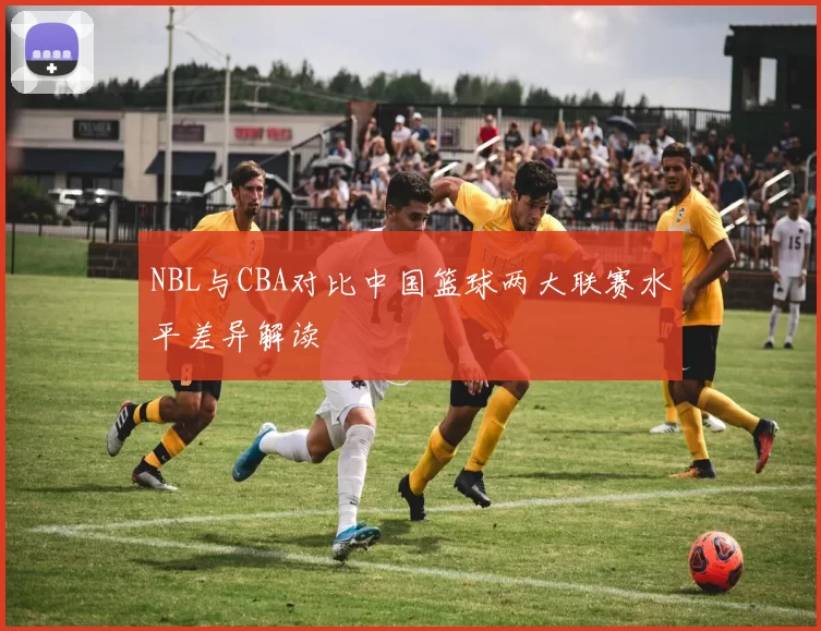 NBL与CBA对比中国篮球两大联赛水平差异解读