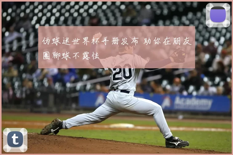 伪球迷世界杯手册发布 助你在朋友圈聊球不露怯