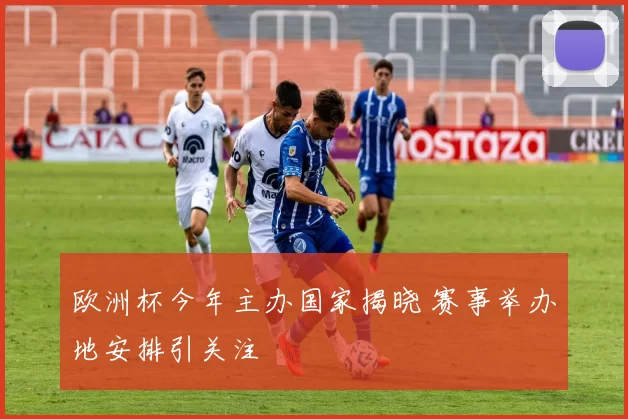 欧洲杯今年主办国家揭晓 赛事举办地安排引关注