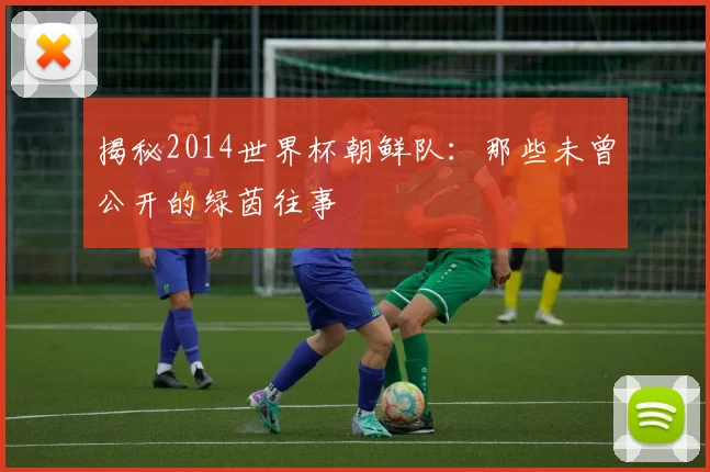 揭秘2014世界杯朝鲜队:那些未曾公开的绿茵往事