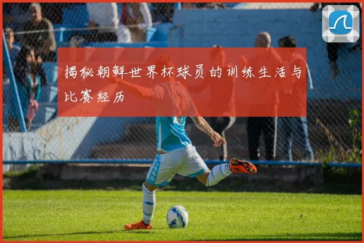 揭秘朝鲜世界杯球员的训练生活与比赛经历