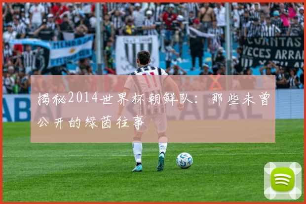 揭秘2014世界杯朝鲜队：那些未曾公开的绿茵往事