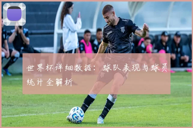 世界杯详细数据：球队表现与球员统计全解析