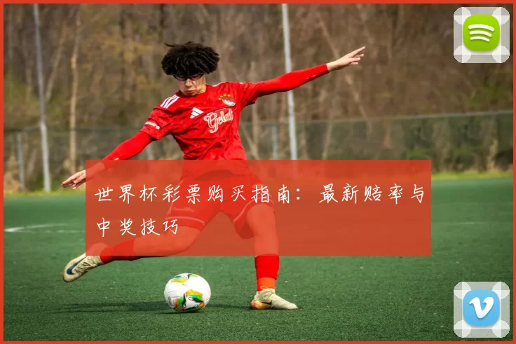 世界杯彩票购买指南：最新赔率与中奖技巧