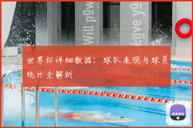 世界杯详细数据：球队表现与球员统计全解析