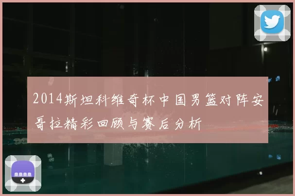 2014斯坦科维奇杯中国男篮对阵安哥拉精彩回顾与赛后分析
