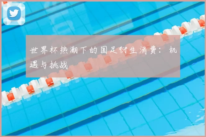 世界杯热潮下的国足衍生消费：机遇与挑战