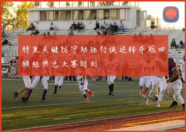 特里关键防守助独行侠逆转夺冠回顾经典总决赛时刻