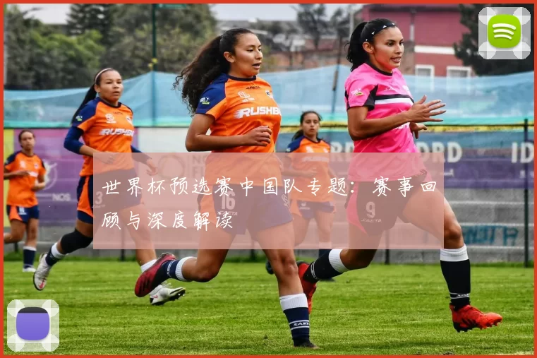世界杯预选赛中国队专题：赛事回顾与深度解读