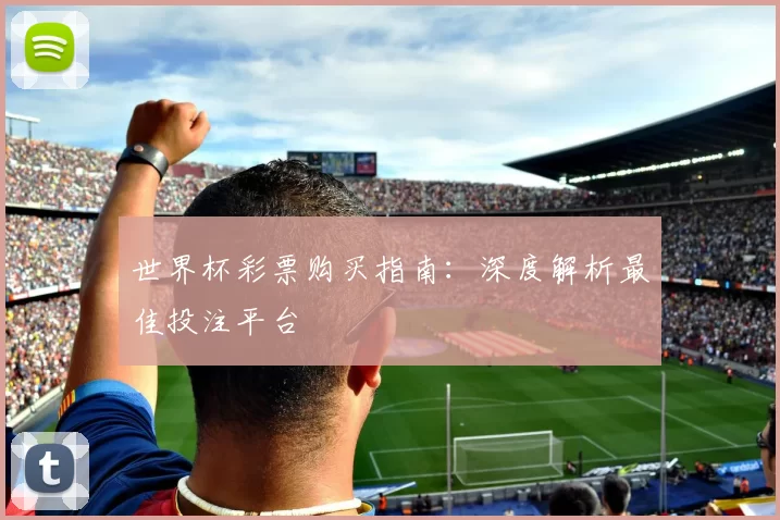 世界杯彩票购买指南：深度解析最佳投注平台