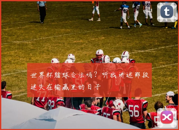 世界杯赌球合法吗？听我讲述那段迷失在输赢里的日子